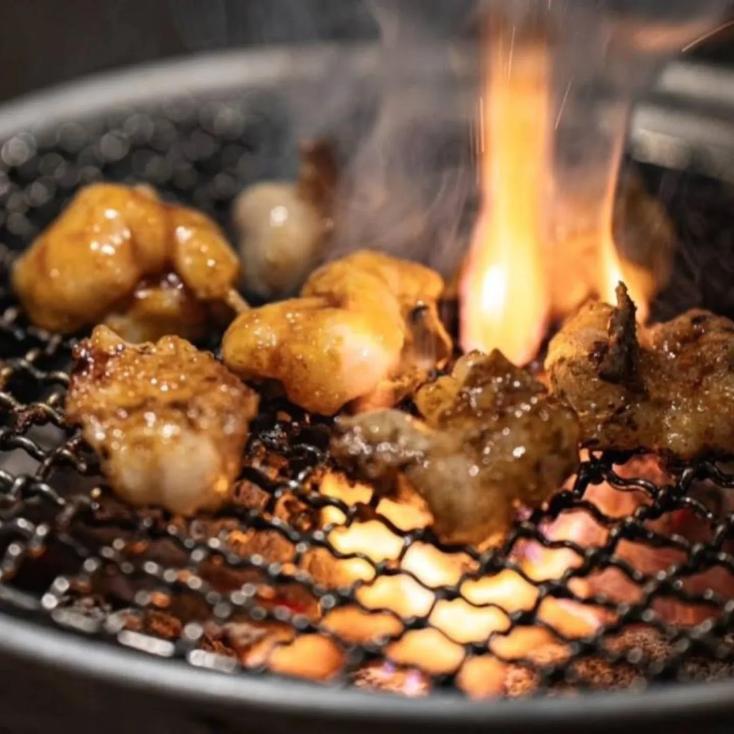 炭火で焼くホルモン